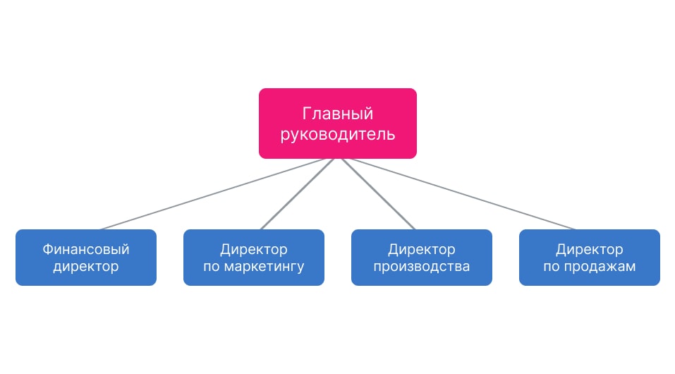 Функциональная организационная структура