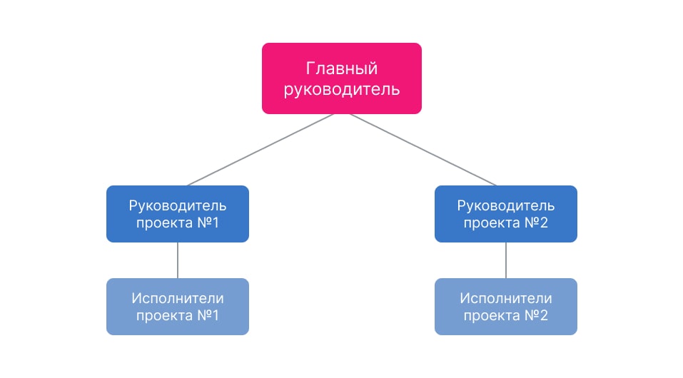 Проектная организационная структура